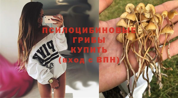 jwh Абаза