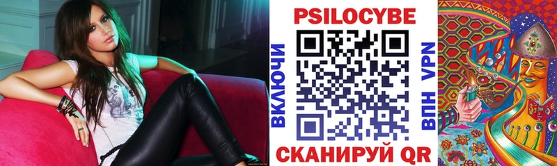 Псилоцибиновые грибы GOLDEN TEACHER  маркетплейс наркотические препараты  Южноуральск 