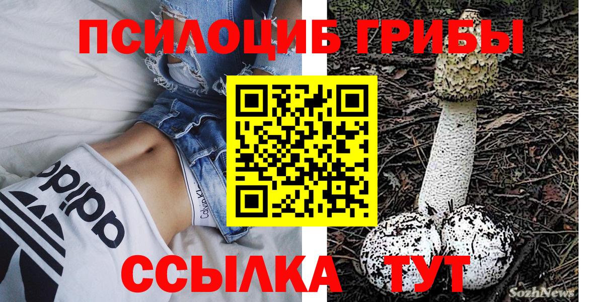 Псилоцибиновые грибы мухоморы Южноуральск